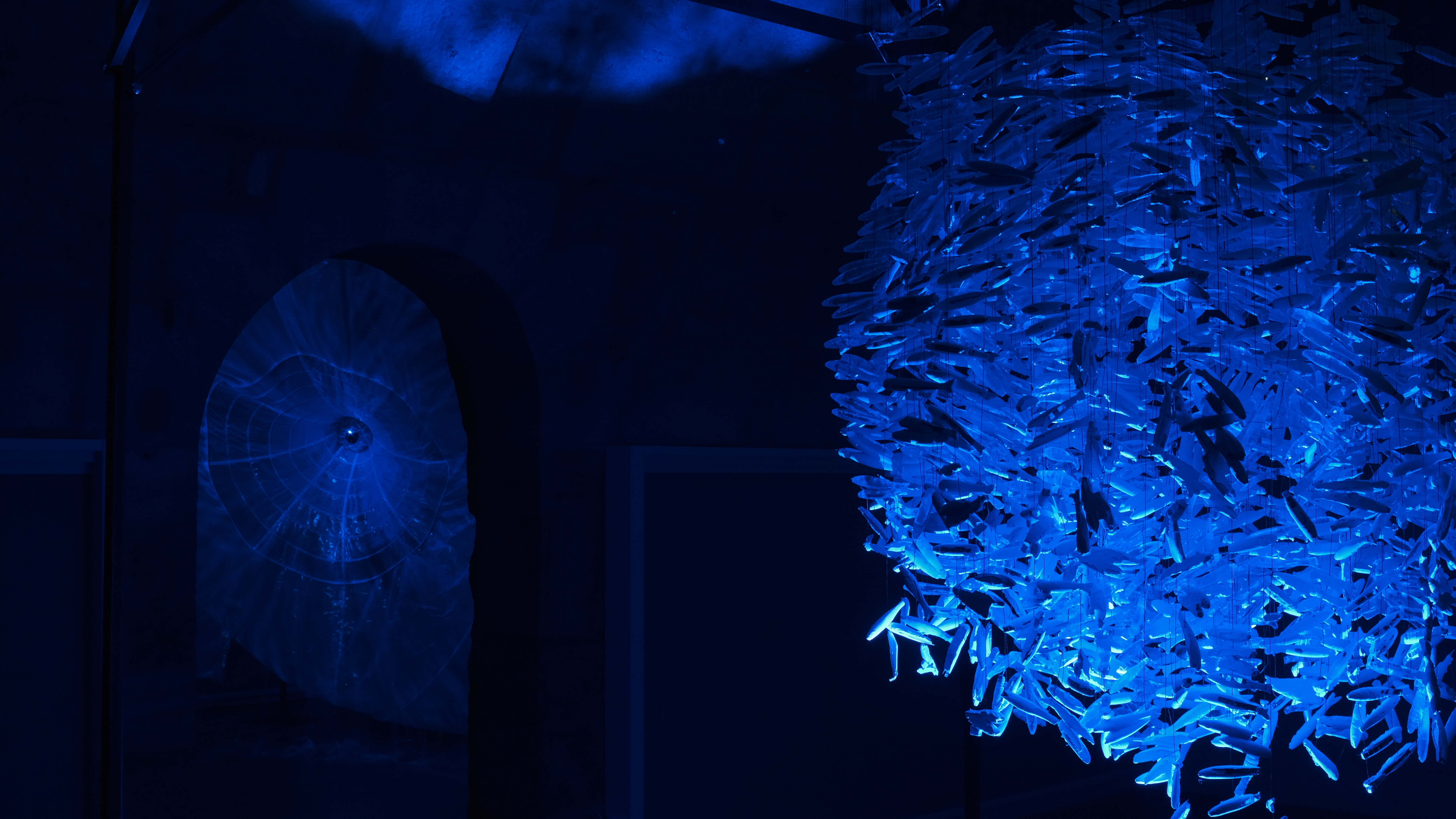 Maelström !, installation immersive — trois dispositifs Ghost Net, Feed et Dead Communities, Alessia Sanna