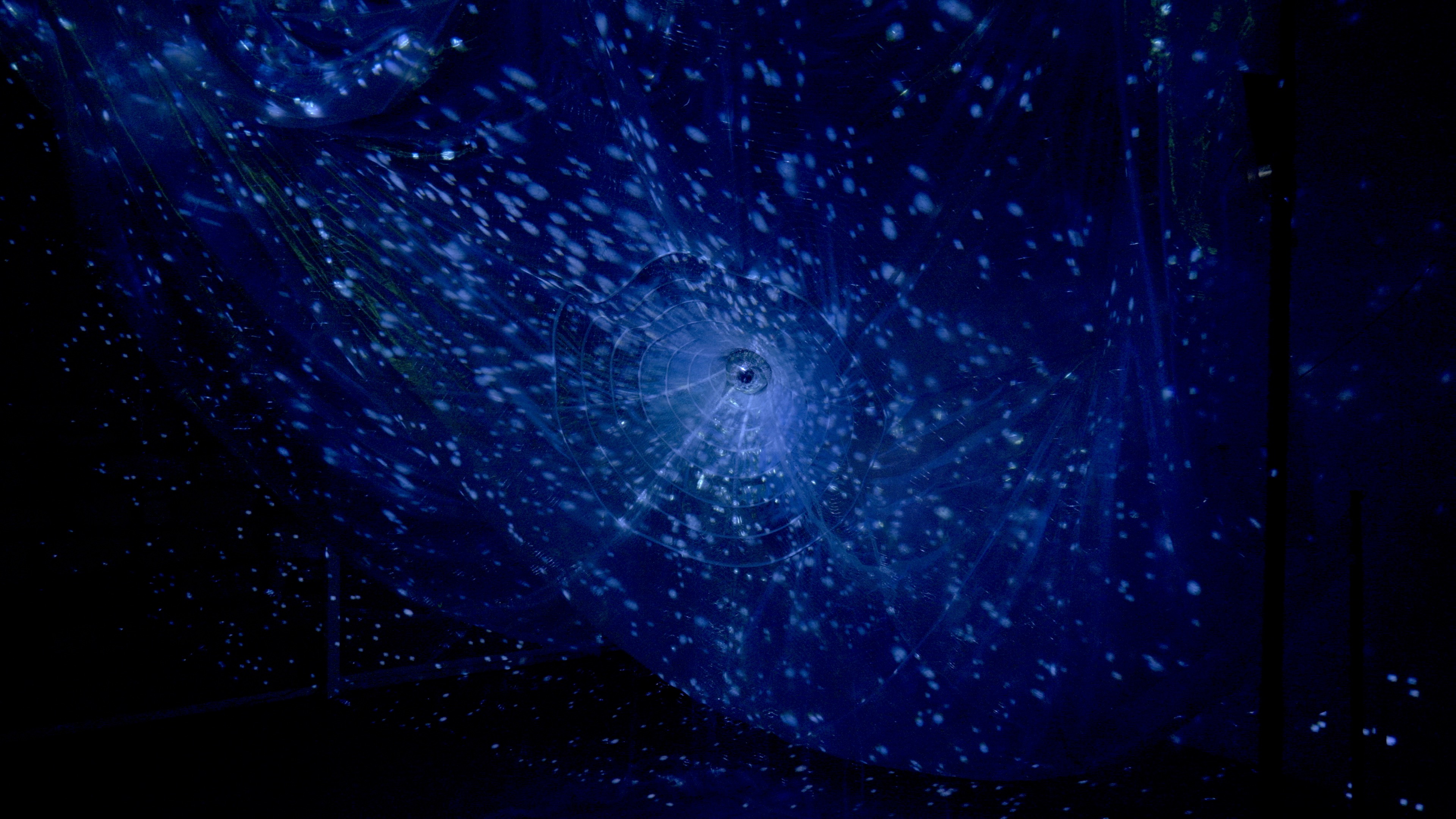 Maelström !, Ghost Net — sculpture et écosystèmes marins, Alessia Sanna