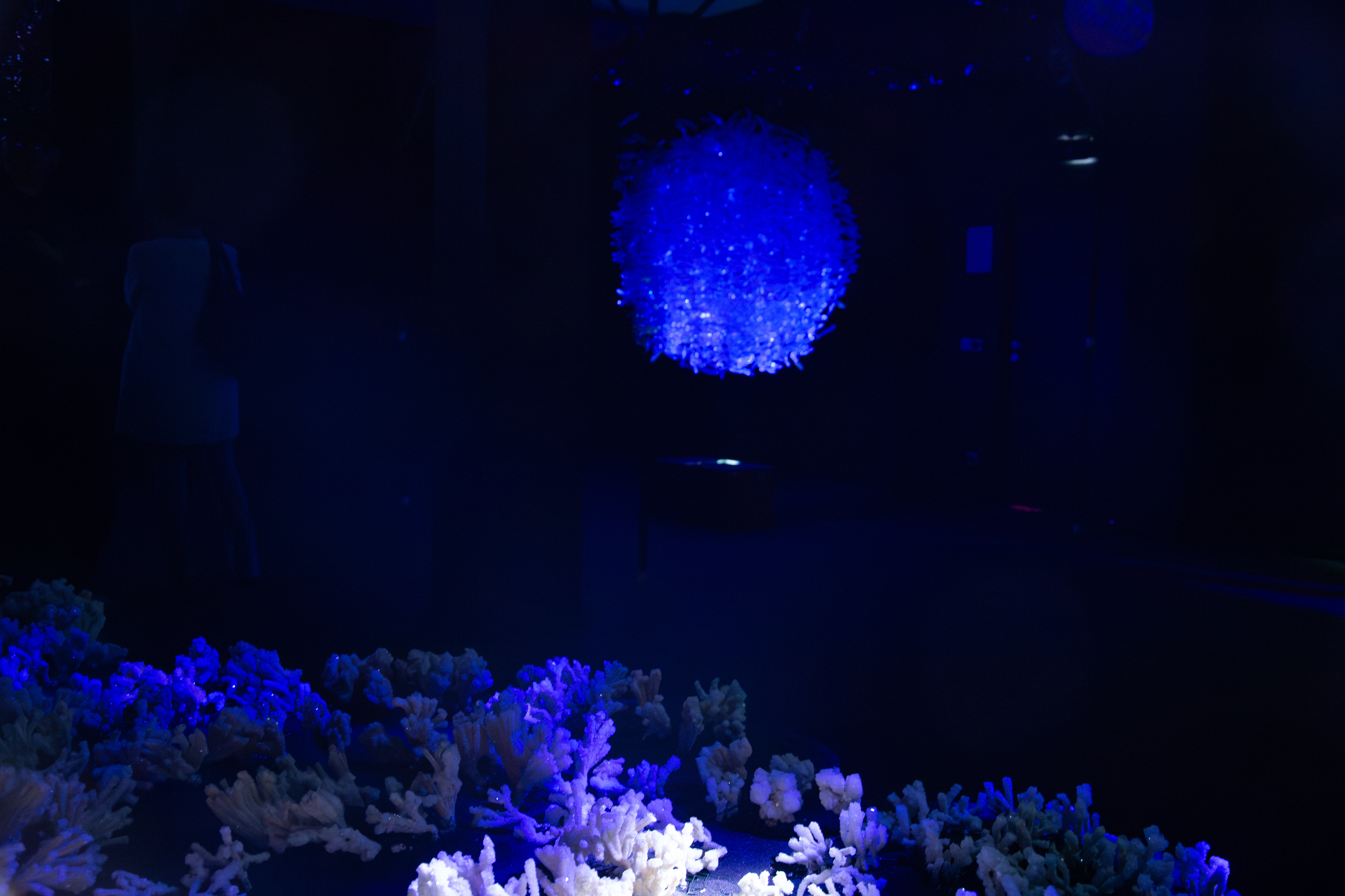 Maelström !, Feed — dispositif sphérique et signaux lumineux, Alessia Sanna