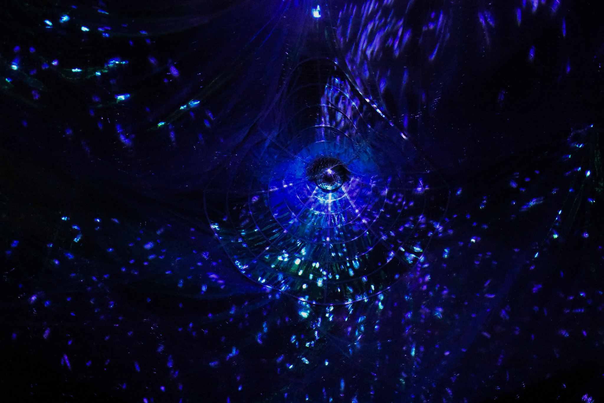 Maelström !, Ghost Net — filets fantômes et données, installation Alessia Sanna