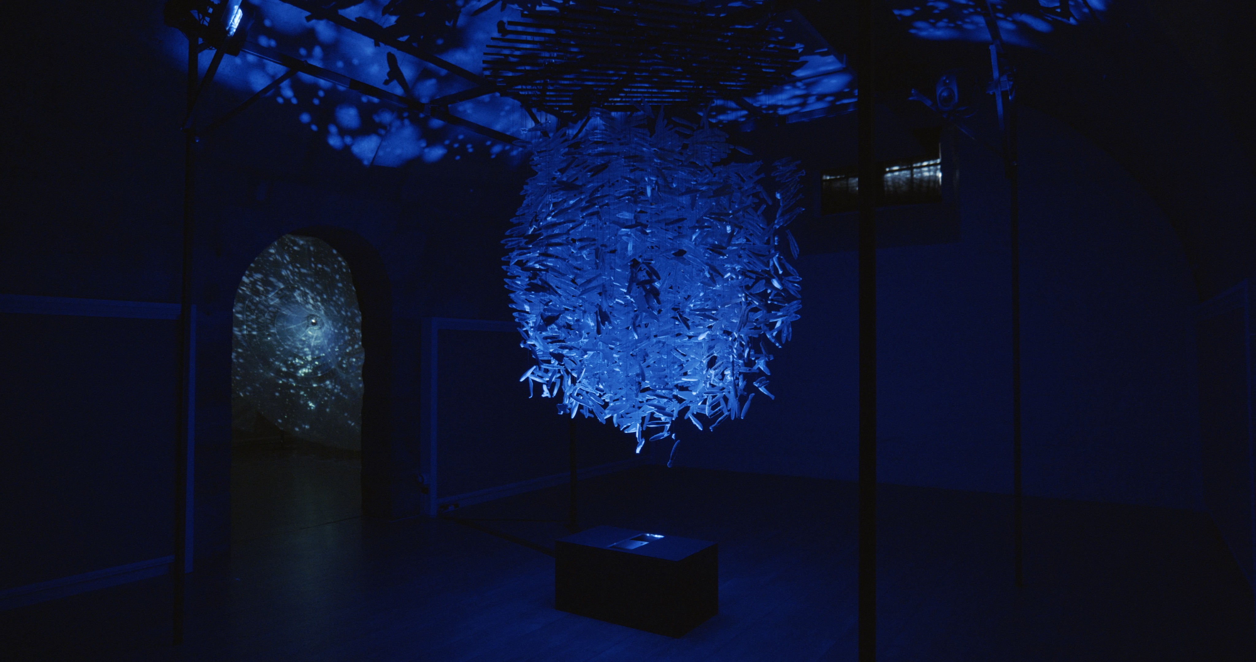 Maelström — Alessia Sanna