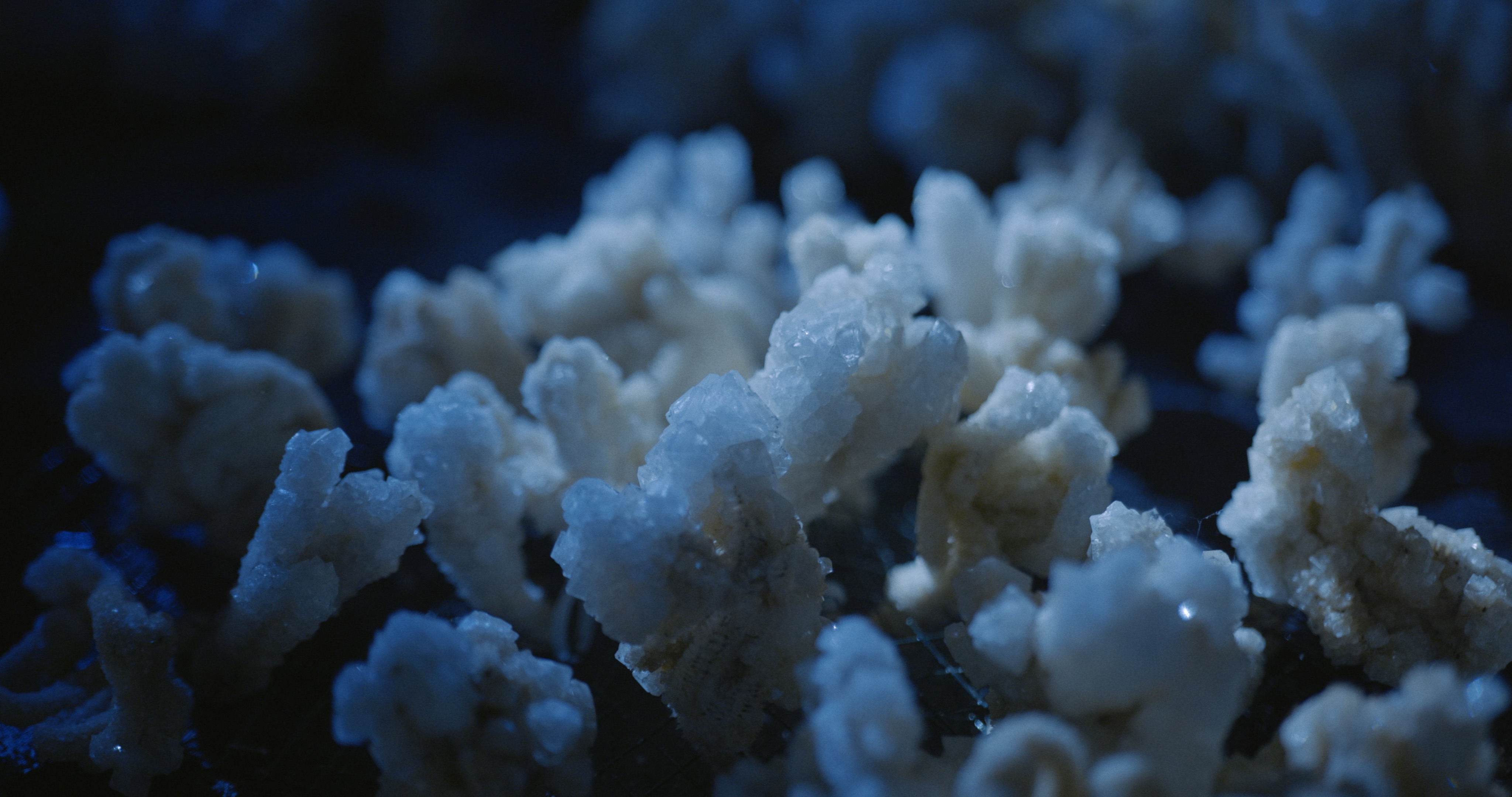 Maelström, installation — Alessia Sanna