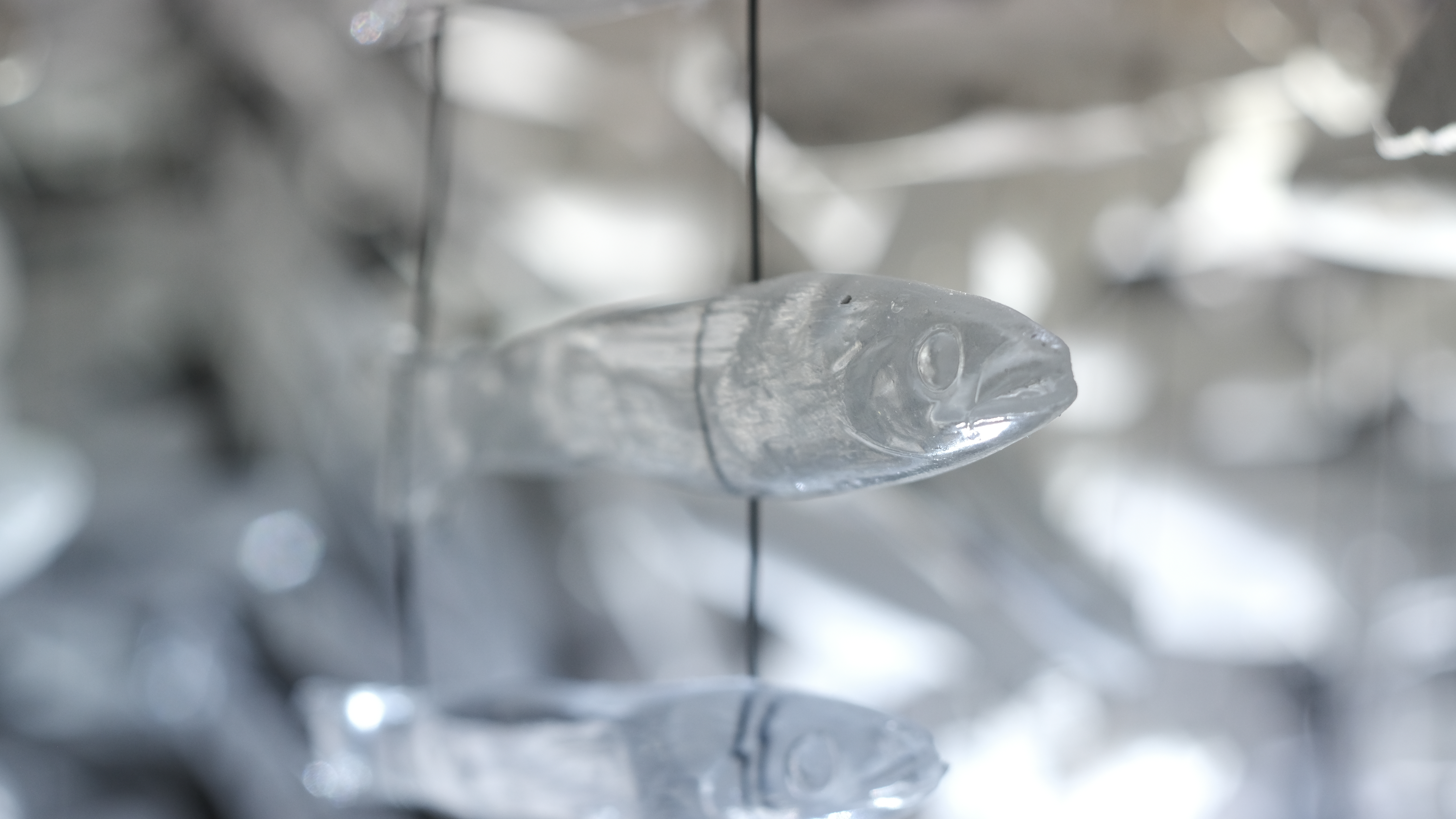 Maelström, installation — Alessia Sanna